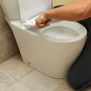 Toilet Bowl Replacement (Supply & Install)